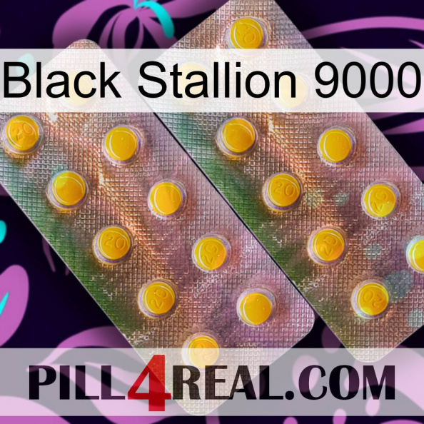 Black Stallion 9000 new10.jpg